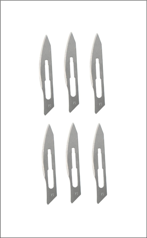Surgical Blades x 6, "Scalpel Blades"